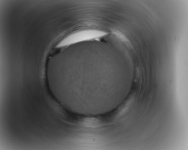 X0000089860399200707191924