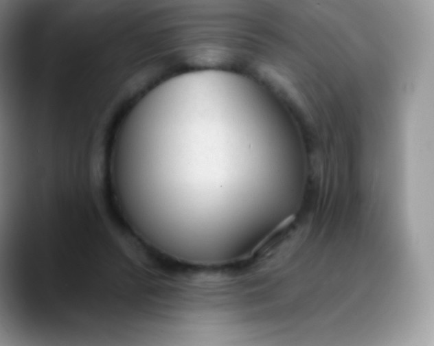 X0000089860400200707191924