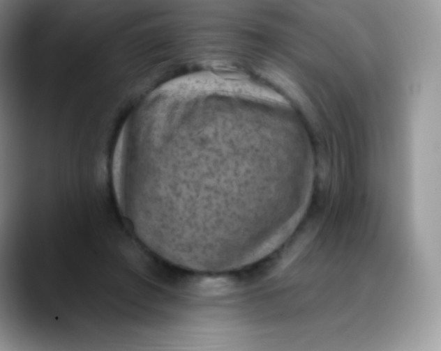 X0000089860401200707191924