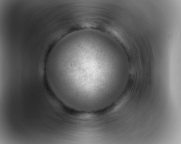 X0000089860402200707191924