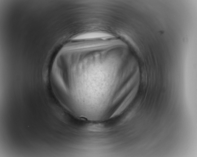 X0000089860403200707191924