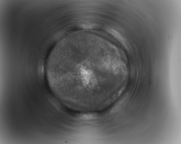 X0000089860405200707191924