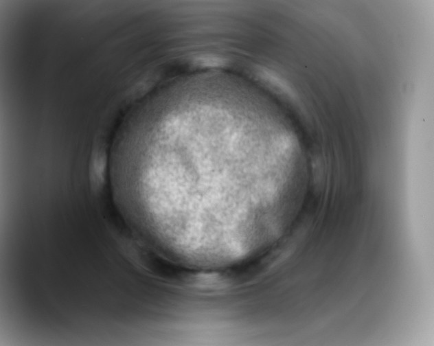 X0000089860406200707191924