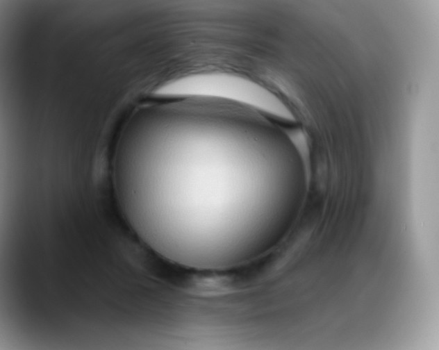 X0000089860407200707191924