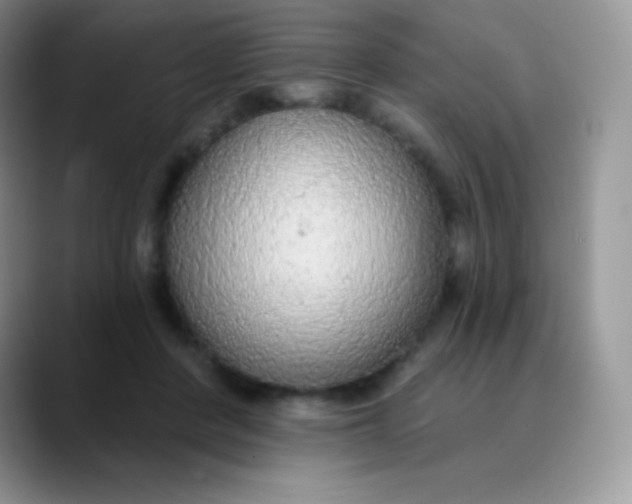 X0000089860408200707191924