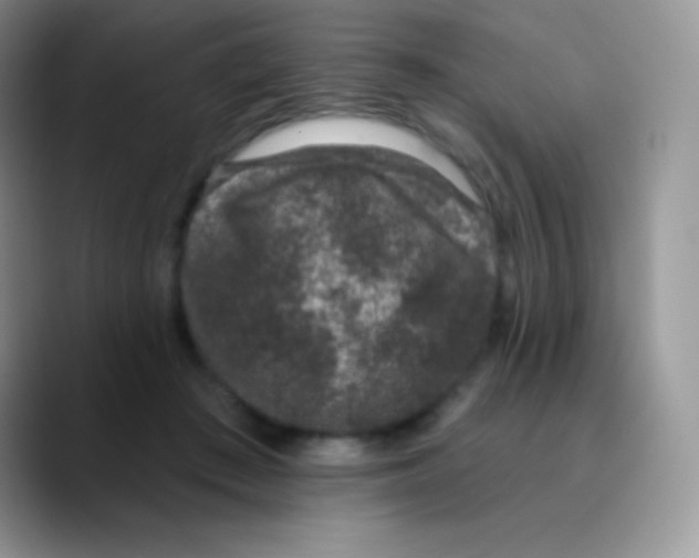 X0000089860409200707191924