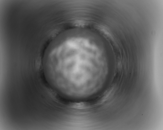 X0000089860411200707191924