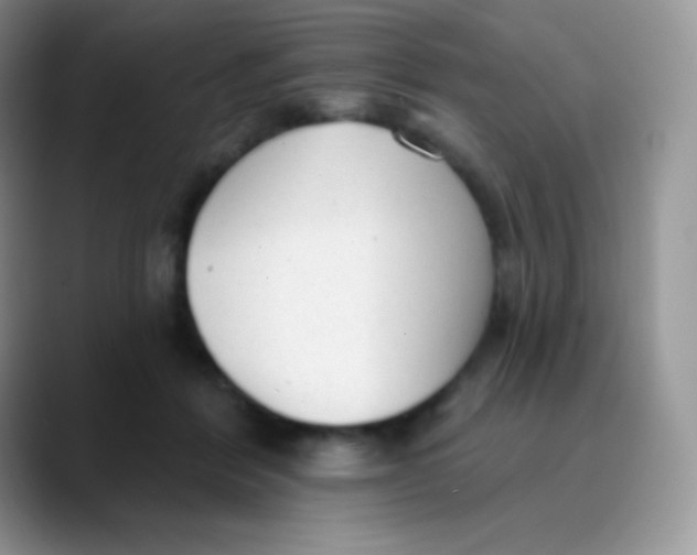 X0000089860412200707191924