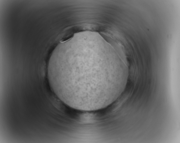 X0000089860413200707191924