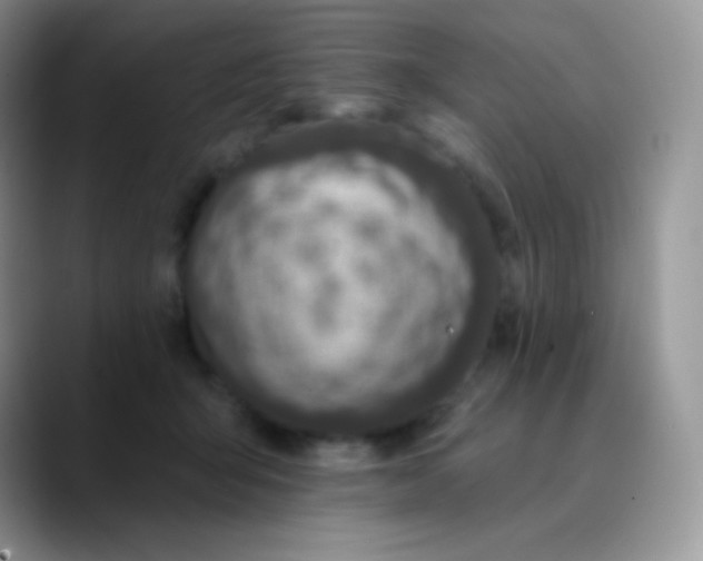 X0000089860415200707191924