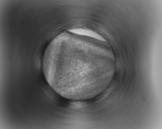 X0000089860417200707191924