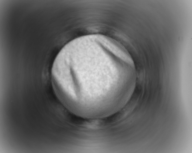 X0000089860418200707191924