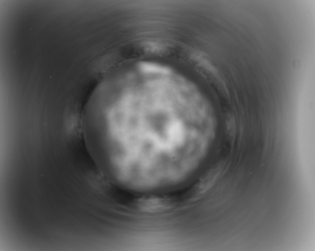 X0000089860419200707191924