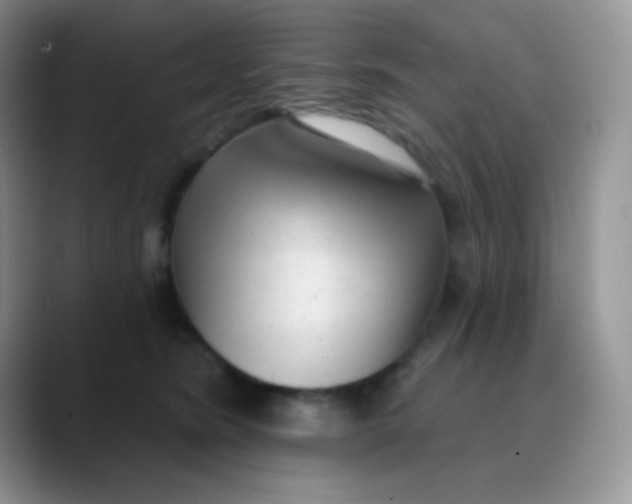 X0000089860420200707191924