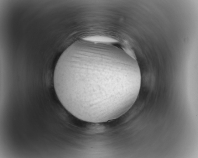 X0000089860421200707191924