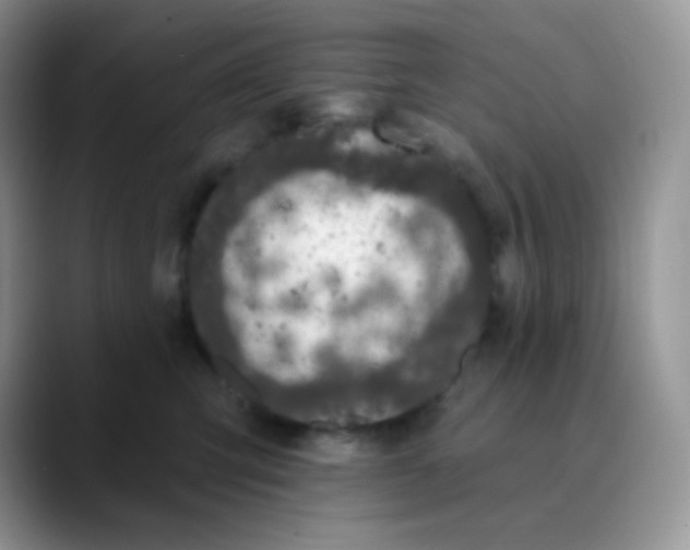 X0000089860423200707191924