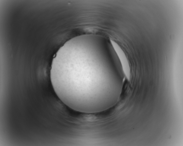 X0000089860424200707191924