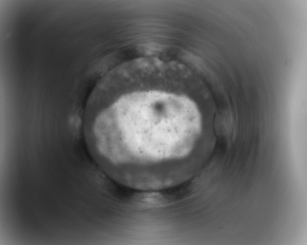 X0000089860427200707191924