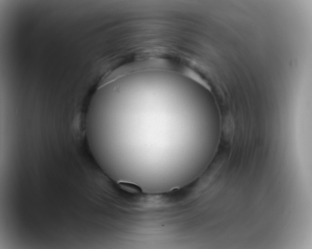 X0000089860428200707191924