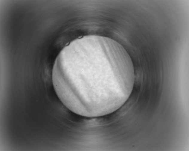 X0000089860430200707191924