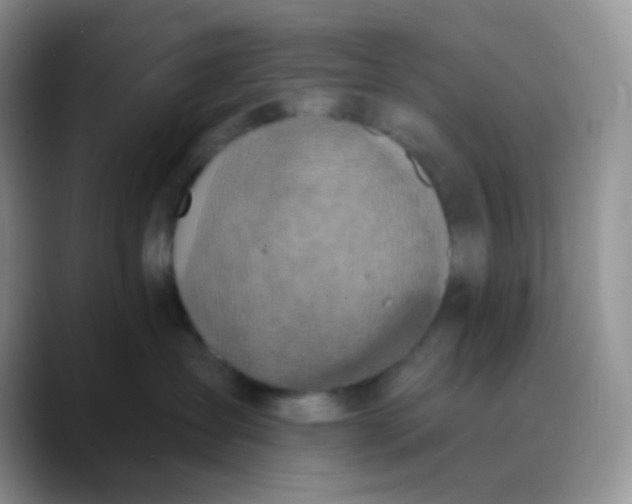 X0000089860431200707191924