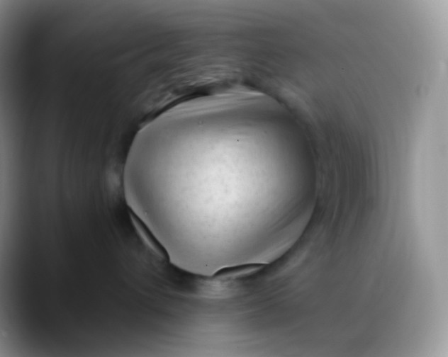 X0000089860432200707191924