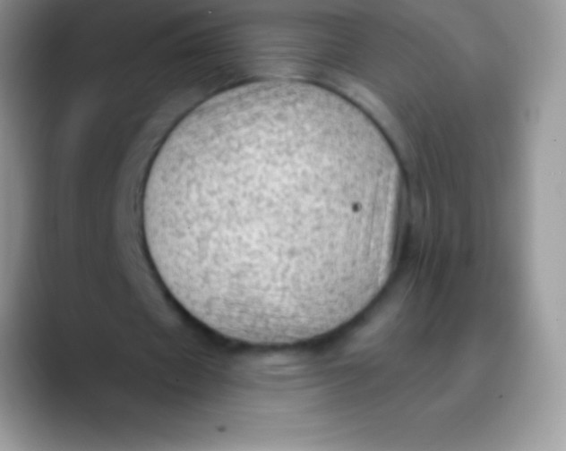 X0000089860433200707191923