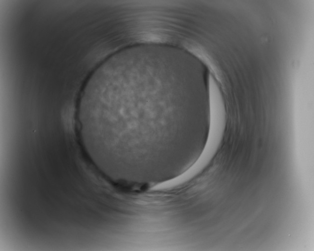 X0000089860434200707191923