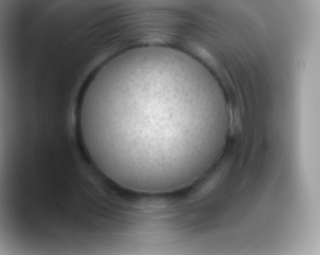 X0000089860435200707191923