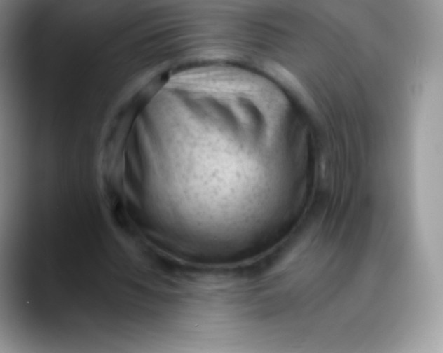 X0000089860436200707191923