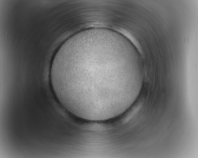 X0000089860437200707191923