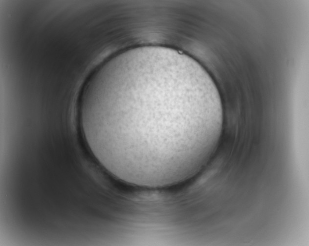 X0000089860439200707191923