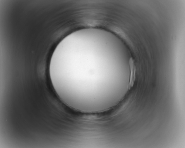 X0000089860440200707191923