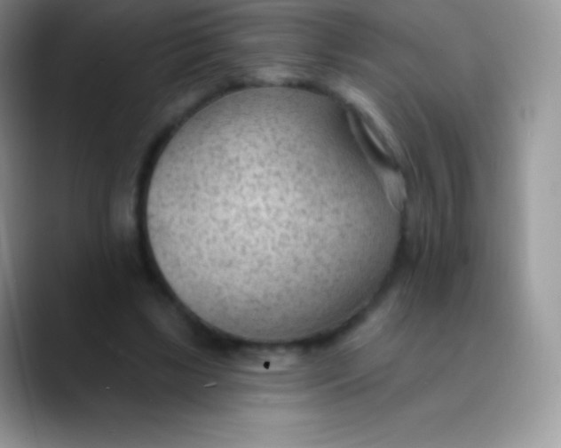 X0000089860443200707191923