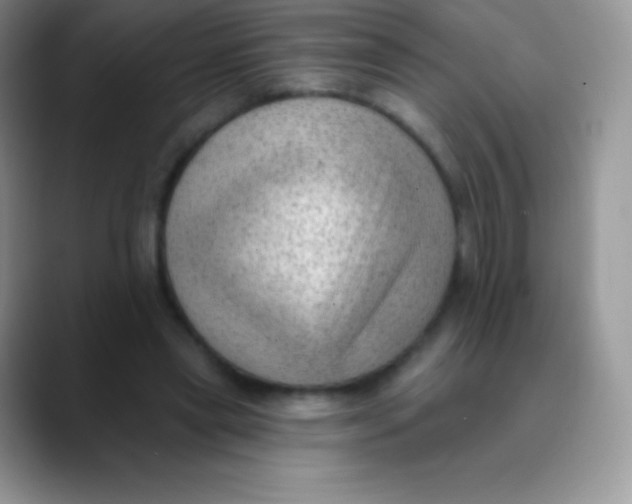 X0000089860445200707191923