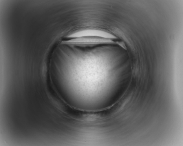 X0000089860448200707191923