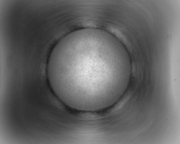 X0000089860449200707191923