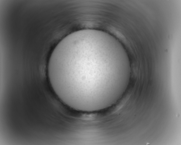 X0000089860450200707191923