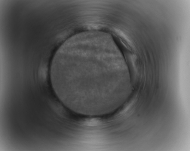 X0000089860451200707191923