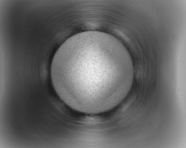 X0000089860455200707191923