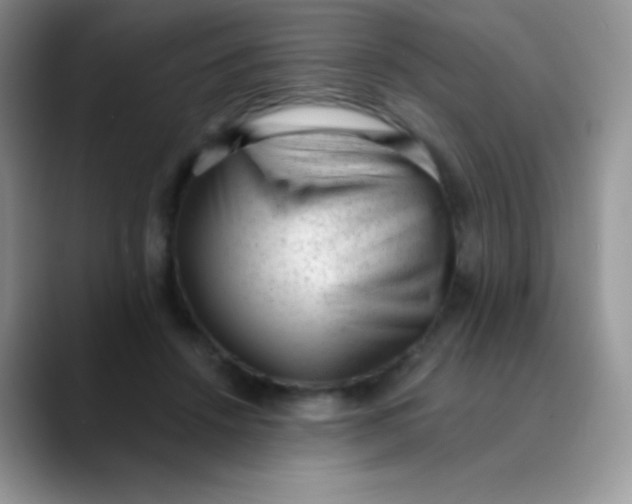 X0000089860456200707191923