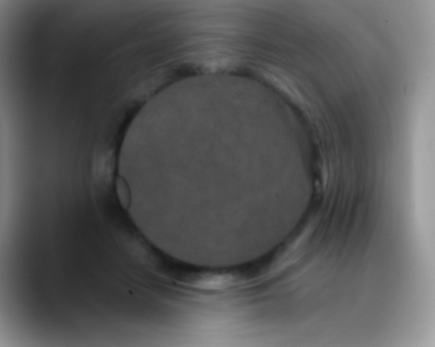 X0000089860458200707191923