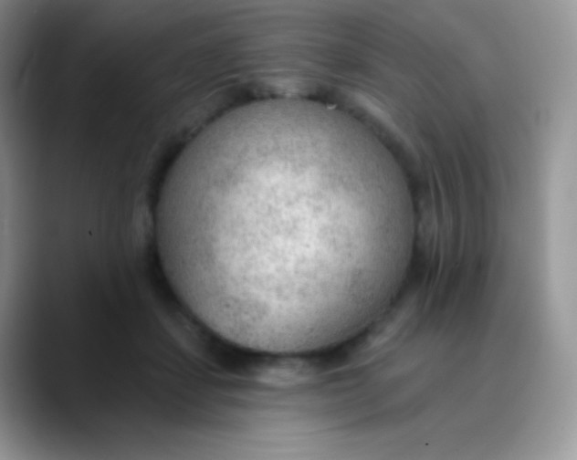 X0000089860459200707191923