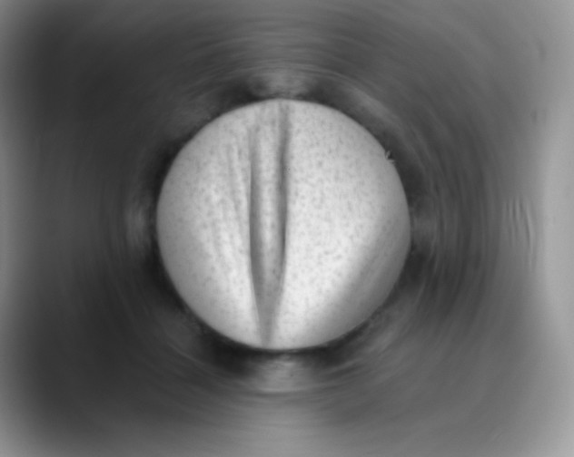 X0000089860460200707191923