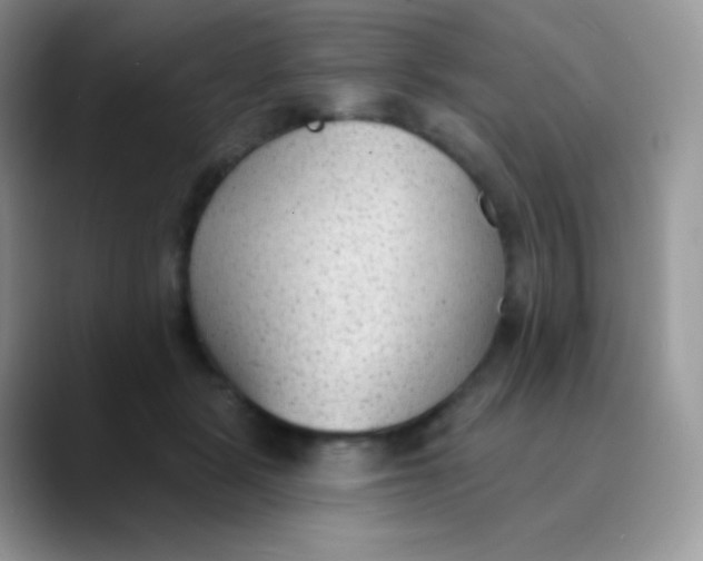 X0000089860461200707191923