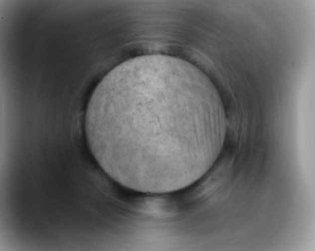 X0000089860462200707191923