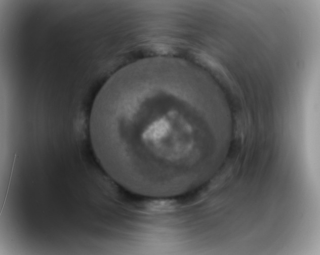 X0000089860465200707191923