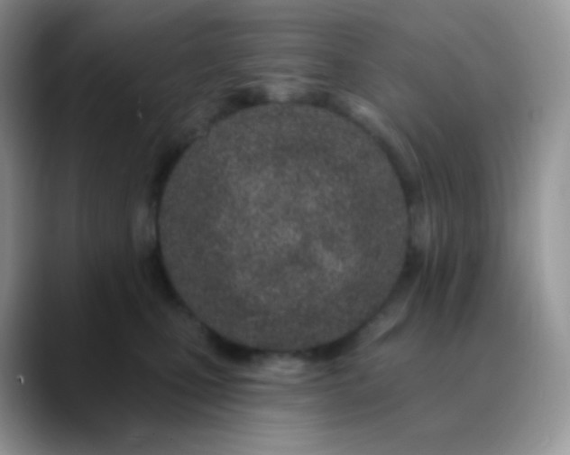 X0000089860471200707191923