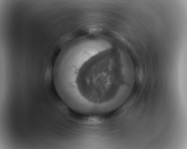 X0000089860475200707191924