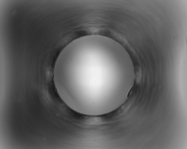 X0000089860476200707191924